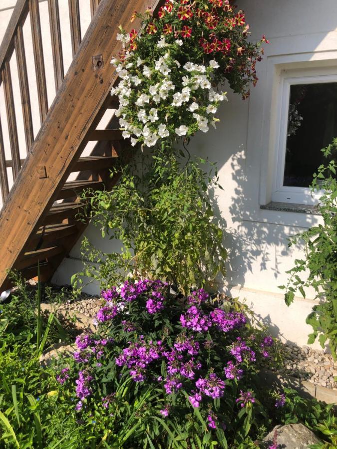 Babsi Appartments - Leben Am Land Wels Exterior photo